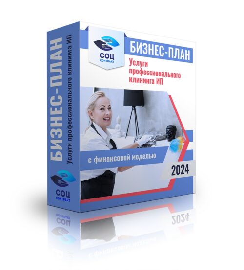 Бизнес-план "Услуги профессионального клининга", ИП