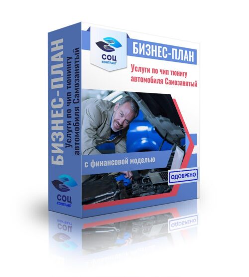 Бизнес-план "Услуги чип-тюнинга автомобилей", самозанятость