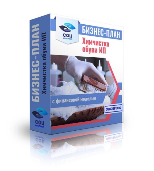 Бизнес-план "Оказание услуг химчистки обуви", ИП