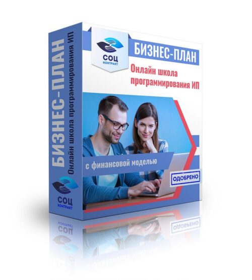 Бизнес-план "Онлайн-школа программирования", ИП