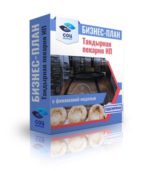 Бизнес-план "Тандырная пекарня", ИП