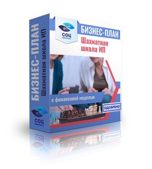 Бизнес-план "Шахматная школа", ИП