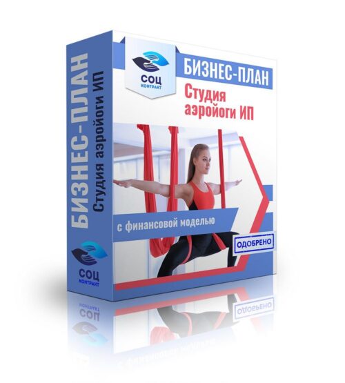 Бизнес-план "Студия аэройоги", ИП