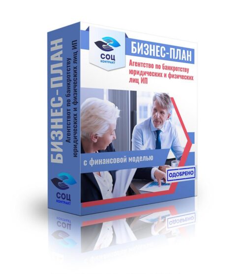 Бизнес-план "Оказание услуг по банкротству юридических и физических лиц", ИП