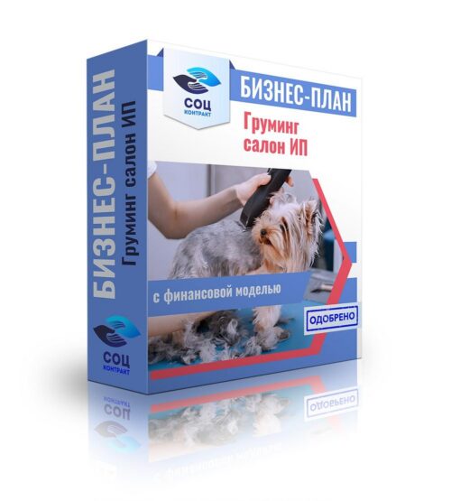 Бизнес-план "Организация груминг-салона", ИП