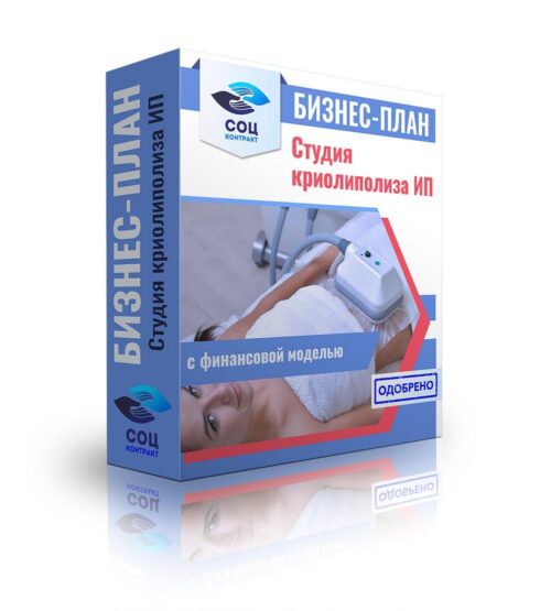 Бизнес-план "Организация студии криолиполиза", ИП