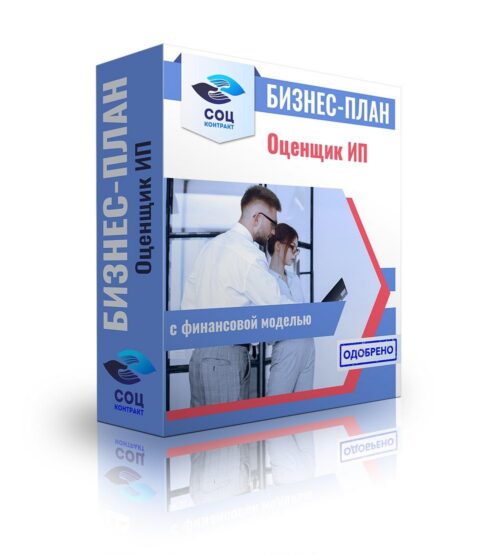 Бизнес-план "Оказание услуг оценщика", ИП