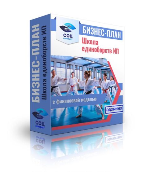 Бизнес-план "Организация школы единоборств", ИП