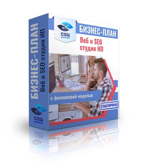 Бизнес-план "Веб-студия по разработке и продвижению сайтов", ИП