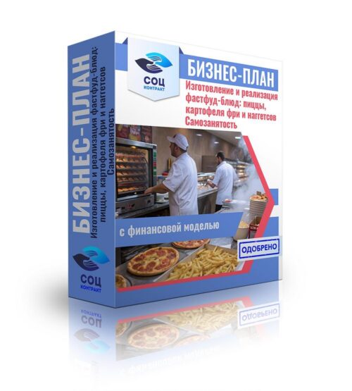 Бизнес-план "Производство фастфуд блюд: пицца, картофель фри и наггетсы", ИП