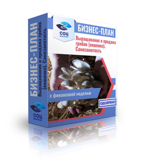 Бизнес-план "Выращивание и продажа грибов (вешенка)", самозанятость