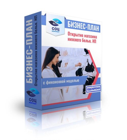 Бизнес-план "Открытие магазина нижнего белья", ИП
