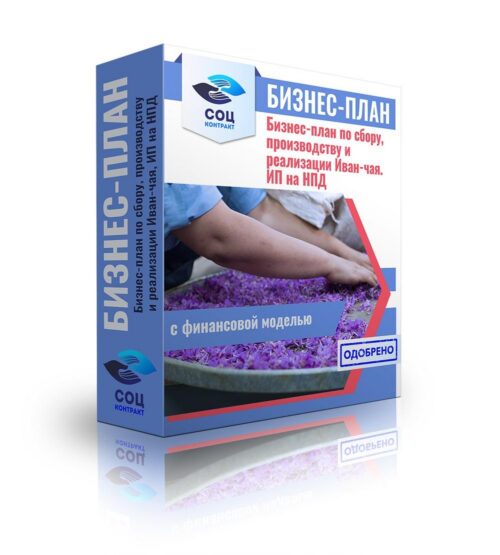 Бизнес-план "Бизнес-план по сбору, производству и реализации Иван-чая", ИП на НПД