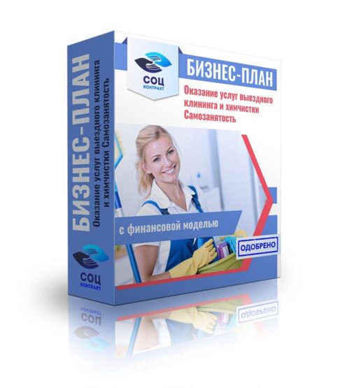 Бизнес-план "Оказание услуг выездного клининга и химчистки", самозанятость
