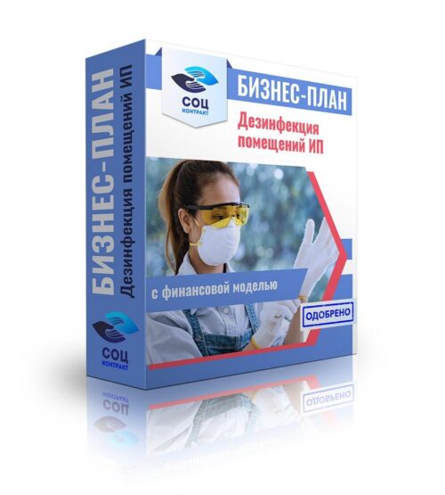 Бизнес-план "Дезинфекция помещений", ИП