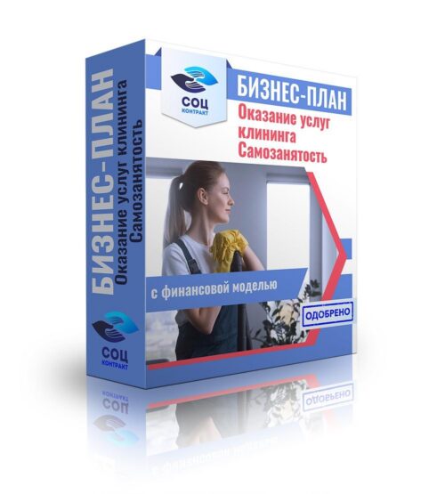 Бизнес-план "Оказание услуг клининга". Самозанятость