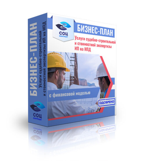 Бизнес-план "Услуги судебно-строительной и стоимостной экспертизы", ИП на НПД