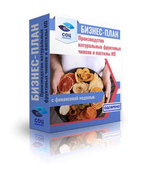 Бизнес-план "Производство натуральных фруктовых чипсов и пастилы", ИП