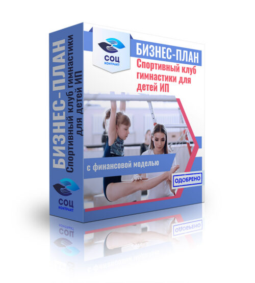 Бизнес-план "Спортивный клуб гимнастики для детей", ИП