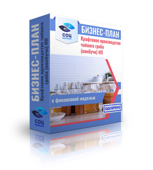 Бизнес-план "Крафтовое производство чайного гриба (комбучи)". ИП