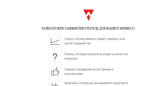 Бизнес-план и финансовая модель тайный покупатель