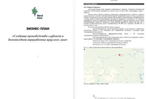 бизнес-план для банка, финансовая модель деревообработки, инвестиционный комитет, производство пиломатериалов и пеллет