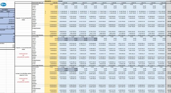 Разработка финансовой модели как задание от Pfizer