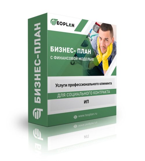 Бизнес-план "Услуги профессионального клининга", ИП