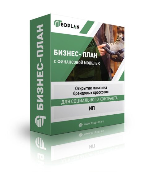 Бизнес-план "Открытие магазина брендовых кроссовок", ИП