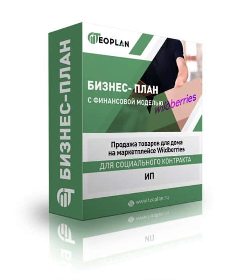Бизнес-план "Продажа товаров для дома на маркетплейсе Wildberries", ИП