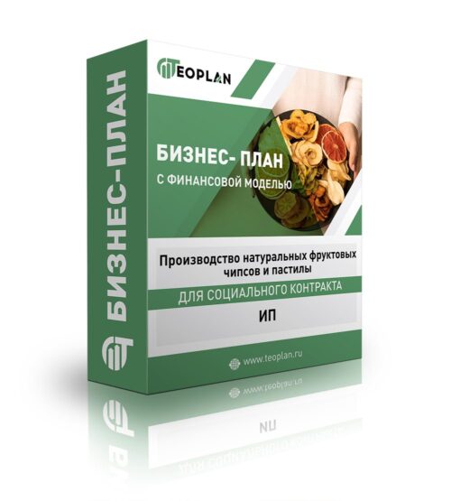 Бизнес-план "Производство натуральных фруктовых чипсов и пастилы", ИП