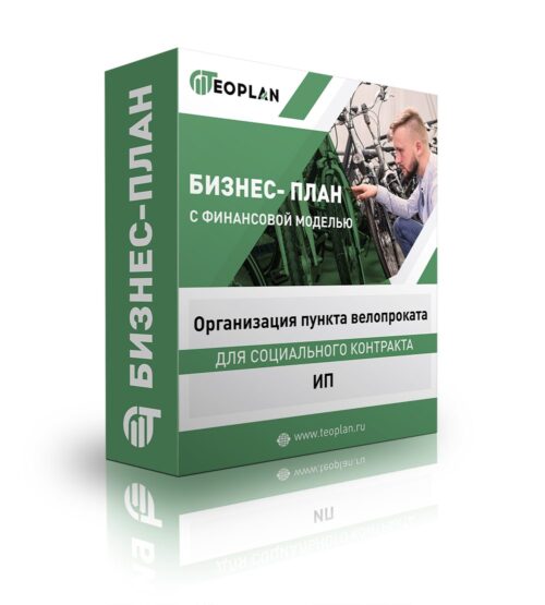 Бизнес-план "Организация пункта велопроката", ИП