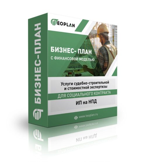 Бизнес-план "Услуги судебно-строительной и стоимостной экспертизы", ИП на НПД
