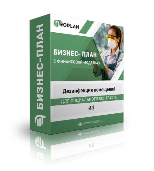 Бизнес-план "Дезинфекция помещений", ИП
