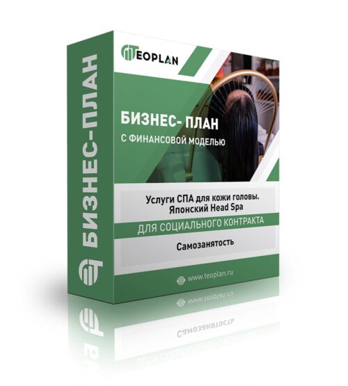 Бизнес-план "Услуги СПА для кожи головы. Японский Head Spa", самозанятость