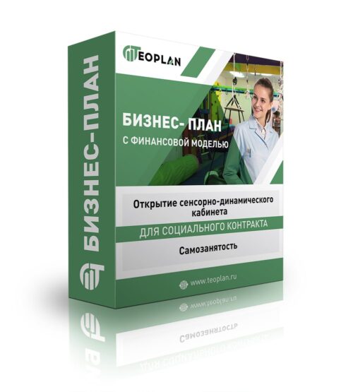 Бизнес-план "Открытие сенсорно-динамического кабинета", самозанятость