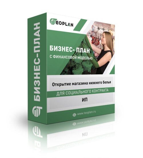 Бизнес-план "Открытие магазина нижнего белья", ИП