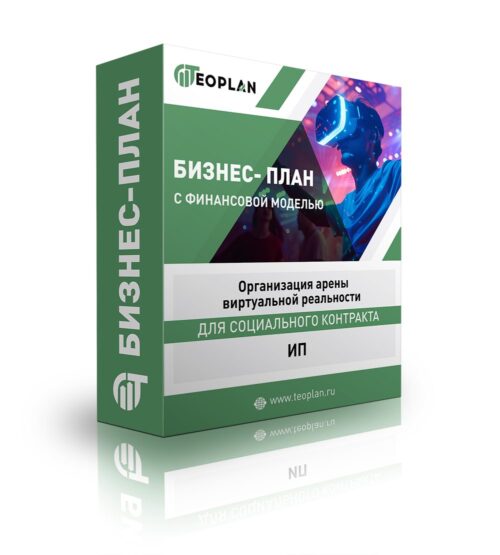 Бизнес-план "Организация арены виртуальной реальности", ИП