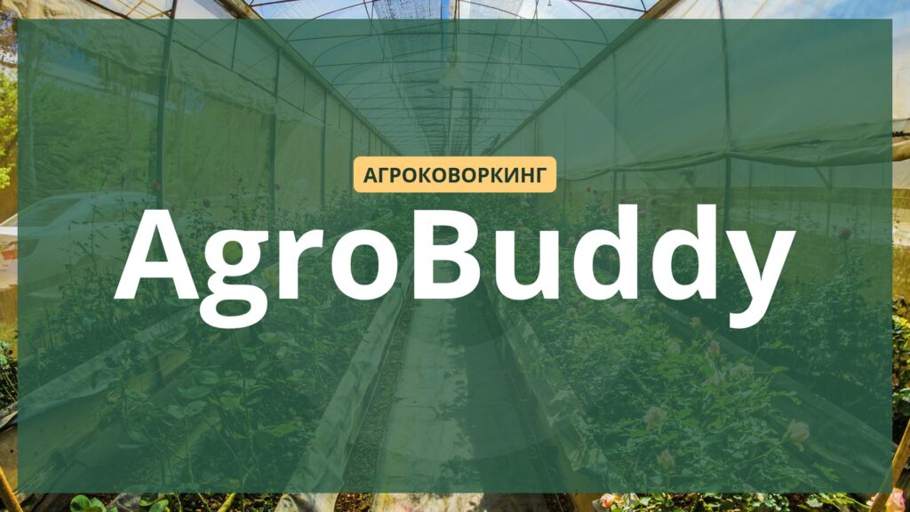 эко-стартап, презентация для инвестора, визуализация бизнес-идеи, дизайн слайдов