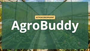 эко-стартап, презентация для инвестора, визуализация бизнес-идеи, дизайн слайдов
