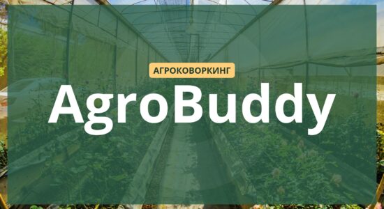 эко-стартап, презентация для инвестора, визуализация бизнес-идеи, дизайн слайдов
