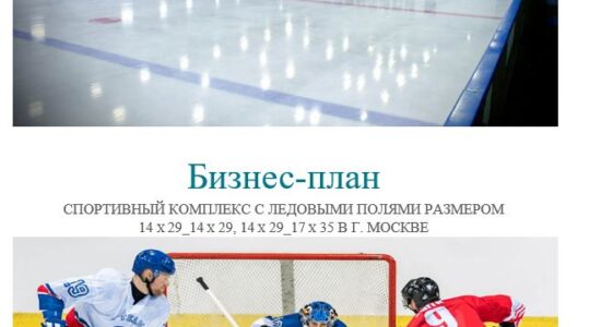 азработка бизнес-плана: Спортивный комплекс с ледовыми полями