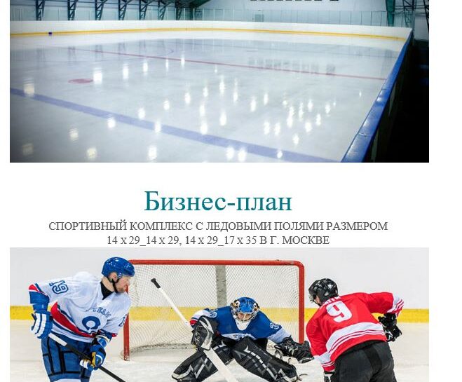 азработка бизнес-плана: Спортивный комплекс с ледовыми полями