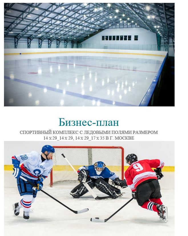 азработка бизнес-плана: Спортивный комплекс с ледовыми полями
