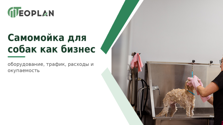 Мойка самообслуживания для собак как бизнес: оборудование, трафик, расходы и окупаемость