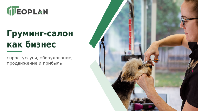 Груминг-салон как бизнес: спрос, услуги, оборудование, продвижение и прибыль