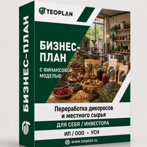 Бизнес-план: Переработка дикоросов и местного сырья с финансовой моделью