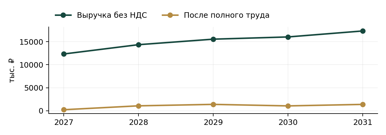 Прогноз выручки и результата мастерской на пять лет, данные базовой финансовой модели