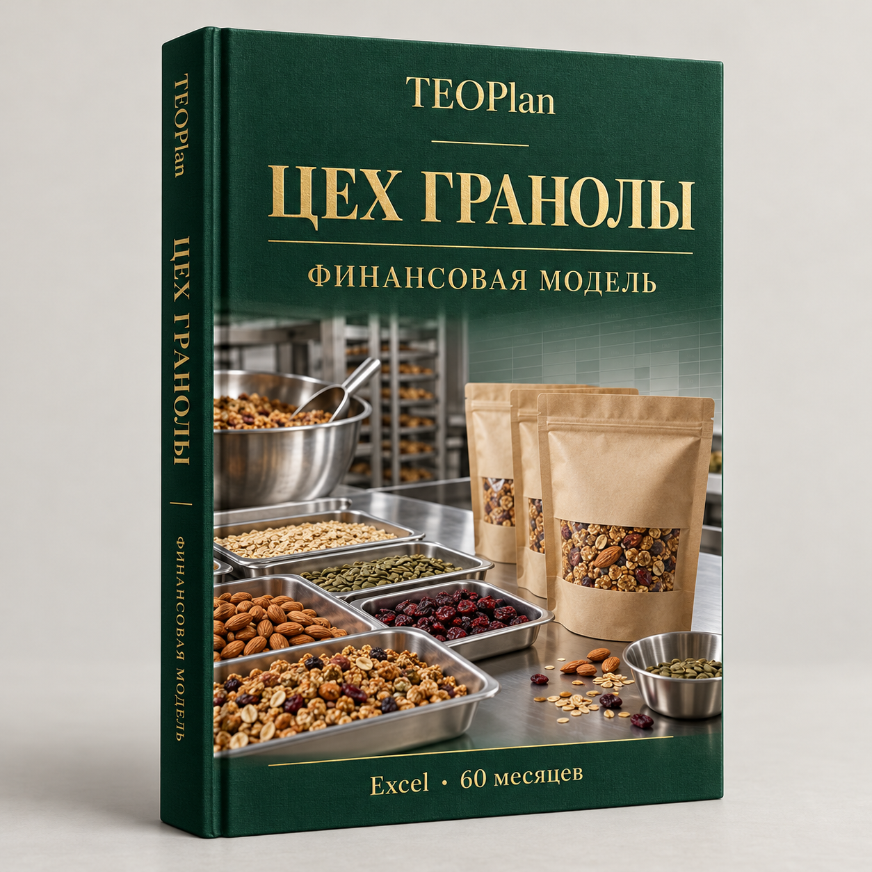 Цех гранолы в пакетах 250 г — финансовая модель Excel