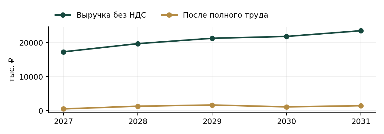 Прогноз выручки и результата мастерской на пять лет, данные базовой финансовой модели